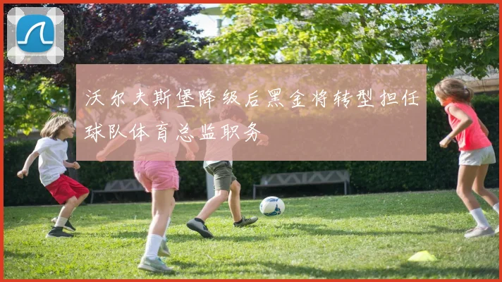 沃尔夫斯堡降级后黑金将转型担任球队体育总监职务