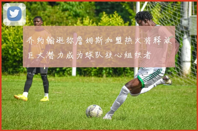 乔约翰逊称詹姆斯加盟热火将释放巨大潜力成为球队核心组织者